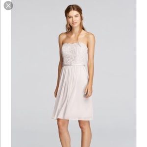 Short Scalloped Strapless Lace Mesh Dress NWT - 2